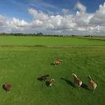 Hohenwarte Séjour à la campagne *