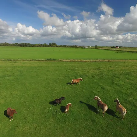 Hohenwarte Gospodarstwo wiejskie *