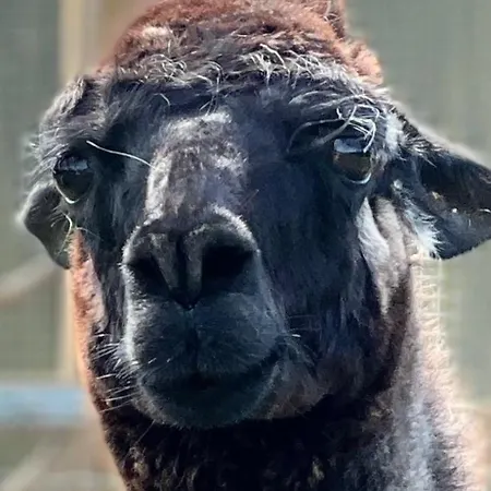 Hohenwarte Gospodarstwo wiejskie