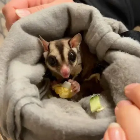 Hohenwarte Casa rural *