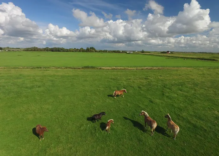 Hohenwarte Kır Evi *