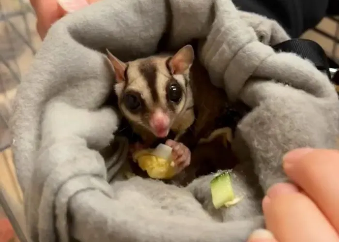 Hohenwarte Séjour à la campagne *